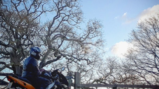 Yamaha YZF 600R Thundercat - Fast and fun bike