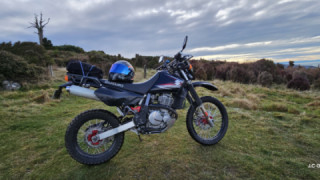Suzuki DR200SE - Stacey