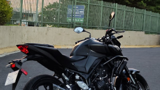 Yamaha FZ-03/MT-03 - Pantera