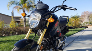 Honda Grom MSX125 - Crotch Rocket