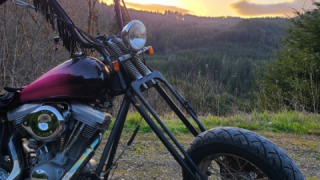 Harley-Davidson Softail Custom - Betty