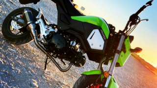 Honda Grom MSX125
