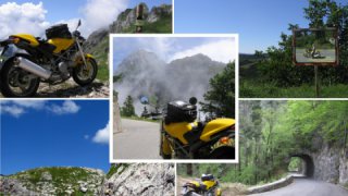 Ducati Monster 1000