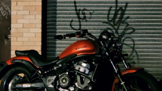 Kawasaki Vulcan S - Charmander