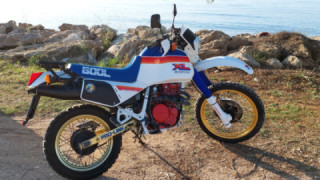 Honda XL 600 - LM 1