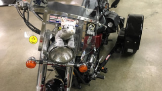 Honda VT 750 Shadow - Tig