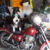 Honda CMX 250 Rebel