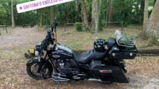Harley-Davidson Road King - babydoll!