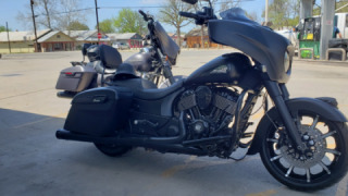 Indian Chieftain Dark Horse - Sancha