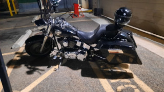 Harley-Davidson Fat Boy - Greeny