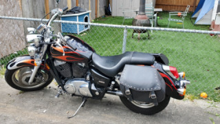 Honda VT 1100 Shadow - Sabre