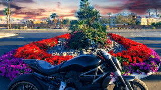 Ducati XDiavel - Lucifer