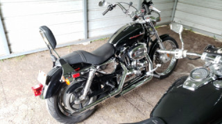 Harley-Davidson Sportster 1200 - Betsy