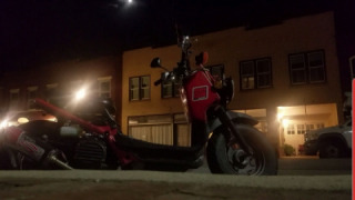 Honda Ruckus  - Little Red