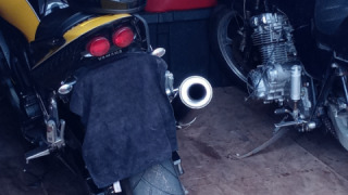 Yamaha FZ1 Naked  - Obnoxious Bee!