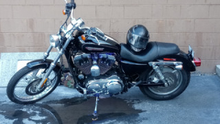 Harley-Davidson Sportster 1200 - Sportster 1200 custom