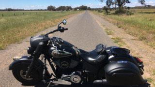 Indian Chief Dark Horse - mistress 