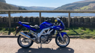 Suzuki SV 650S - Suzi