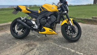 Yamaha FZ1 Naked  - Bumblebee