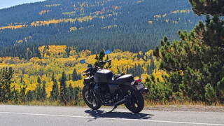 Moto Guzzi V7 - Bartolomeo Nero