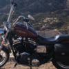 Harley-Davidson Sportster 1200 - no name at this point.