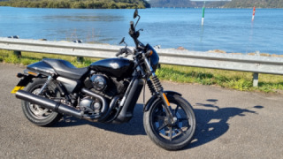 Harley-Davidson Street 500 - Delilah