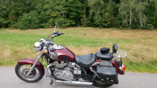 Triumph America