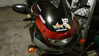 Kawasaki Ninja ZX-9R - Red lioness aka Lola