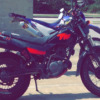 Yamaha TW 200 - Lil Bastard