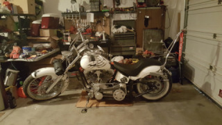 Harley-Davidson Softail Custom - Diva