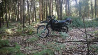 Yamaha TDR 125