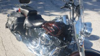 Harley-Davidson Softail Classic - Beautiful