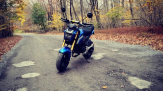 Honda Grom MSX125