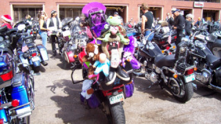 Honda VT 1100 Shadow - Purple lady