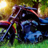 Harley-Davidson Nightster - Lithia
