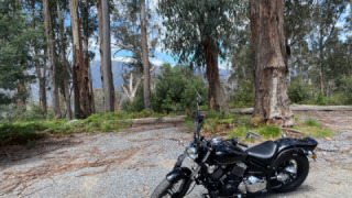 Yamaha V Star 650