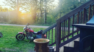 Harley-Davidson Sportster 1200