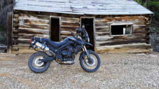 Triumph Tiger 800