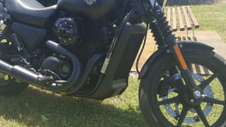 Harley-Davidson Street 500 - Harley Boy