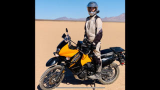 Kawasaki KLR 650 - Petunia