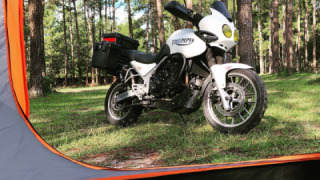 Triumph Tiger 955i