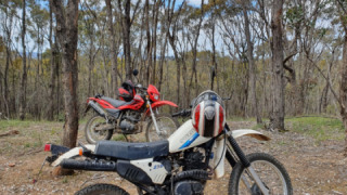 Suzuki DR 250