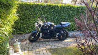 Triumph Speed Triple 955 - Anna-Maria