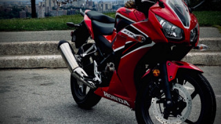 Honda CBR 300R - harmonie