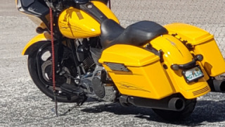 Harley-Davidson Road Glide - The bee