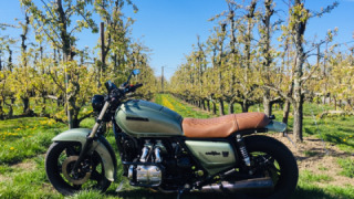 Honda GL 1100