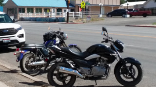 Suzuki SW - Queen