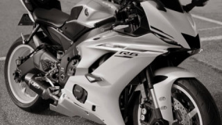 Yamaha YZF R6 - Shrek