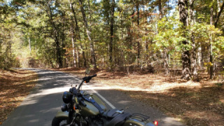 Harley-Davidson Softail Slim