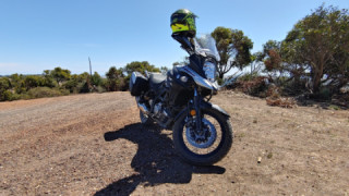 Suzuki V-Strom 650 - Daisy